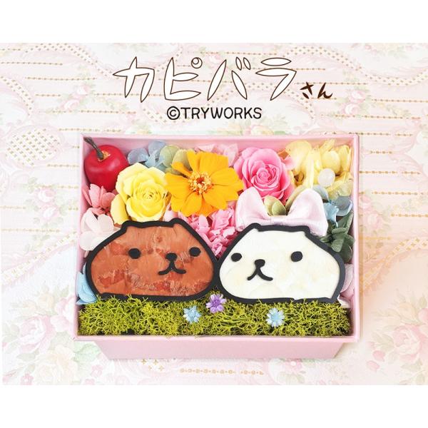 カピバラさん ホワイトさん プリザーブドフラワー お花 キャラクター 誕生日 母の日 父の日 贈りもの 飼育員 プリザ お礼 母の日ギフト Buyee Buyee Japanese Proxy Service Buy From Japan Bot Online