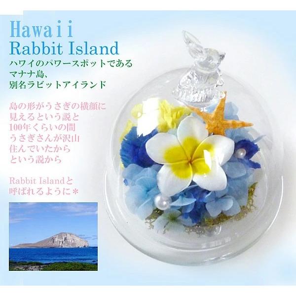 ラビットアイランド プリザーブドフラワー ドーム プルメリア うさぎ 誕生日 プレゼント 結婚祝い ハワイ ガラスケース 海 夏 ハワイ好き 母の日ギフト Buyee Buyee Japanese Proxy Service Buy From Japan Bot Online