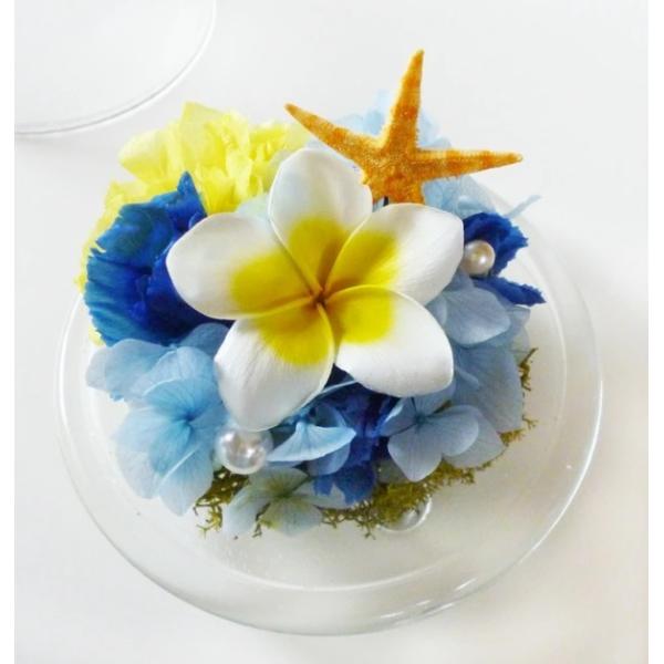 ラビットアイランド プリザーブドフラワー ドーム プルメリア うさぎ 誕生日 プレゼント 結婚祝い ハワイ ガラスケース 海 夏 ハワイ好き 母の日ギフト Buyee Buyee Japanese Proxy Service Buy From Japan Bot Online