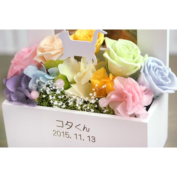 プリザーブドフラワー ギフト メモリアル 虹の橋フォトフレーム ペット お供え 花 名前入り 命日入り 仏花 四十九日 写真立て 一周忌 お悔やみ 犬 猫 うさぎ Buyee Buyee Japanese Proxy Service Buy From Japan Bot Online