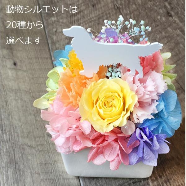 虹の雲m プリザーブドフラワー ギフト 犬 ねこ うさぎ 人気 母の日 メモリアル 誕生日 プレゼント クリスマス お供え ペット お悔やみ 仏花 父の日 Buyee Buyee Japanese Proxy Service Buy From Japan Bot Online