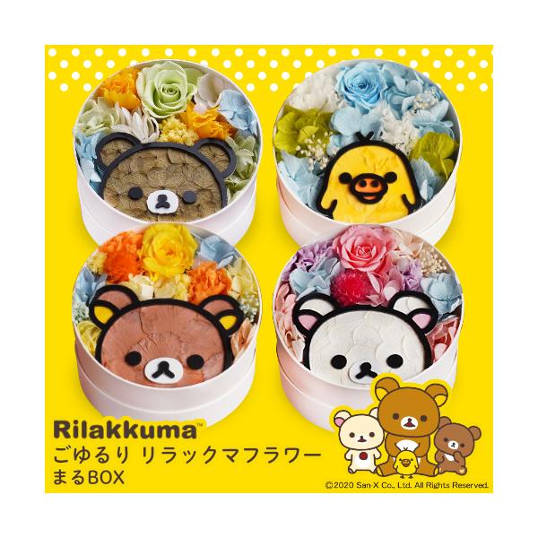 ロマプリ♡フローラリリー♦️新品 １０本セット♦️送料込♦️プレゼントや防災にも◎ お一人様1回限り／ベイビーフローラ お試し7包 | ビフィズス菌