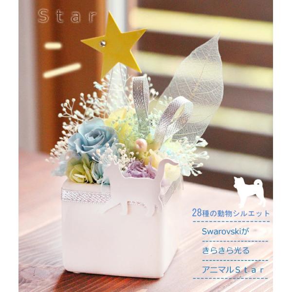 アニマルstar プリザーブドフラワー ギフト 犬 猫 うさぎ 花 人気 誕生日祝い 結婚祝い 母の日ギフト 開院祝い ペット お悔やみ お供え 仏花 母の日 Star プリザーブドフラワー動物のお花屋 通販 Yahoo ショッピング