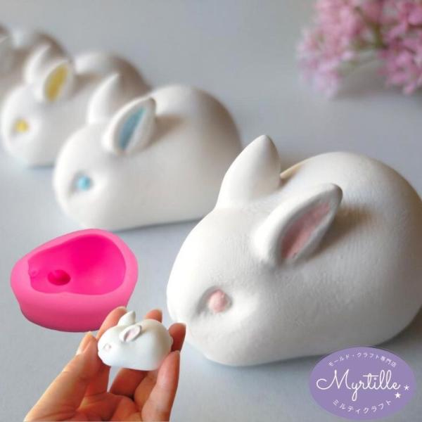 myrtille-craft_a-152