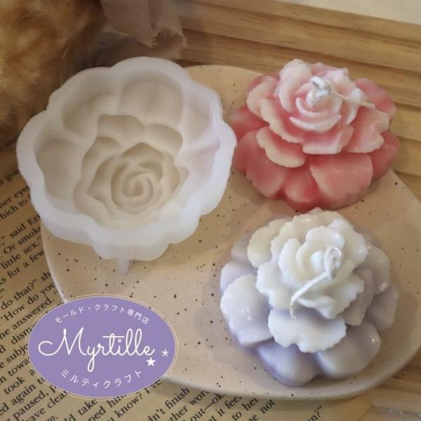 myrtille-craft_c-148