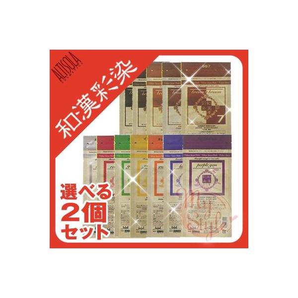 メール便送料無料 ヘアカラー 和漢彩染 ブロコローレ 白髪染め 医薬部外品 120g×選べる2個セット