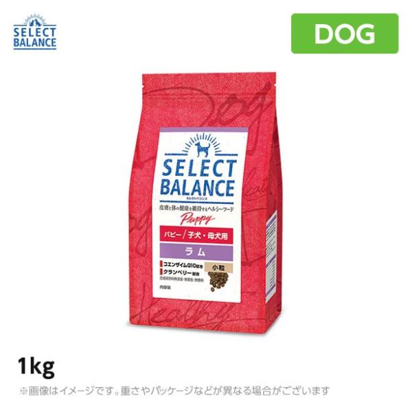 セレクトバランス パピーラム 小粒 1kg ドッグフード 仔犬 幼犬 ラム アレルギー対応(1070197)