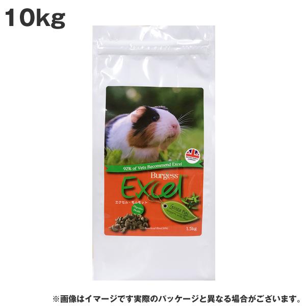 メディマル バージェス エクセル モルモット 10kg