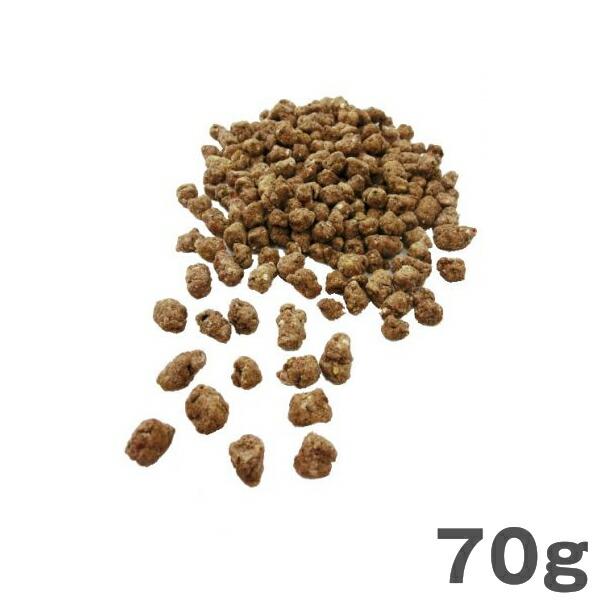 ベストパートナー 犬の主食 鹿肉のごはん お試しパック 70ｇ