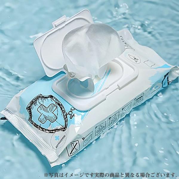 -PETS 抗菌ペットクリーニングワイプ 入
