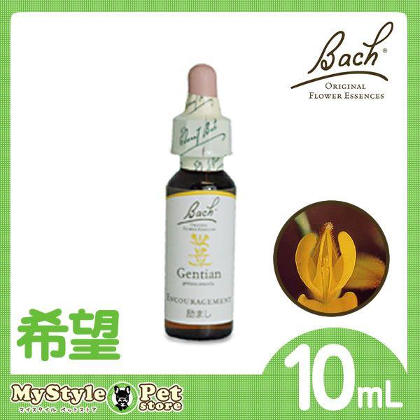 バッチフラワーレメディ ハニーサックル Honey Suckle 10ml マイスタイル ペットストア 通販 Paypayモール