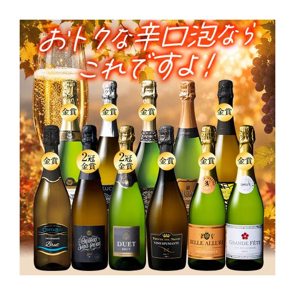 ワイン スパークリングワインセット 3大銘醸地入り 世界選りすぐりスパークリングワイン11本セット 第44弾 送料無料 爆買
