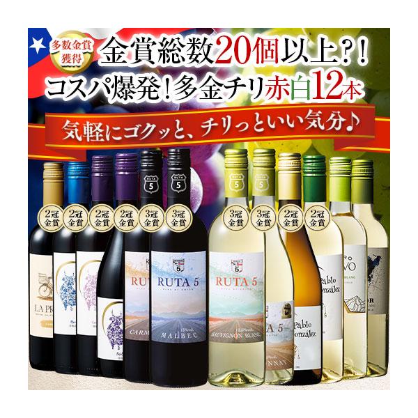 ワイン ワインセット コスパ最強!多金チリ赤白12本セット 第5弾 送料無料 wine set