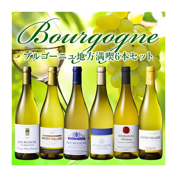 ワイン 白ワインセット すべてシャルドネ!ブルゴーニュ地方満喫白6本セット 送料無料