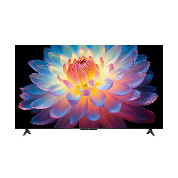 TCL 55P61K TCL 55V型 P61K 4K液晶テレビ GoogleTV搭載 地上・BS・110