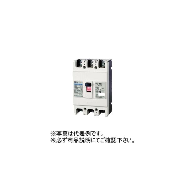 【新品未使用】カワムラ　漏電ブレーカ　ZR223-175TLA-K175A白1個 楽天市場】河村電器 ZR 223-175TLA-K 漏電ブレーカ(単3中性線欠