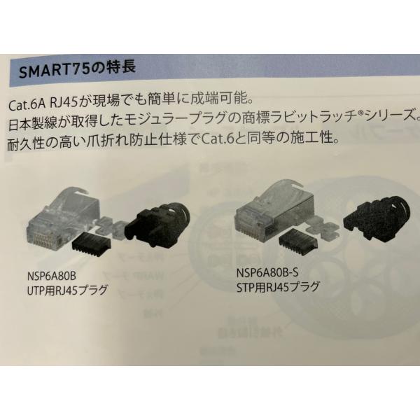 日本整線 RJ45 CAT6A NSP100-C6A RJ45 CAT6A CAT6コネクタ2個、ツール