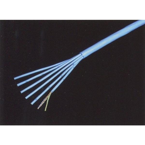 0.3-24PihrjroTd ׌a@Cat.5e Ci|V|XP|u300m