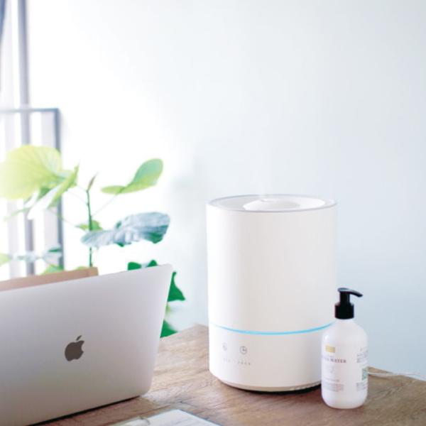 キシマ（KISHIMA） (ポイント15倍)在庫限り ( グリーンティーラボ