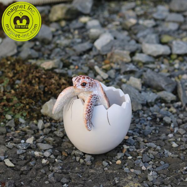 『かわいい！！！！』当店の男性スタッフイチオシのペンスタンド！タマゴから産まれたばかりなのにすぐに役立つすぐれもの。卵の殻にペンを差してペンスタンドになります。ペンの他に小物入れとしても使えます。リアルな造形だけど、とってもかわいいペン立て...