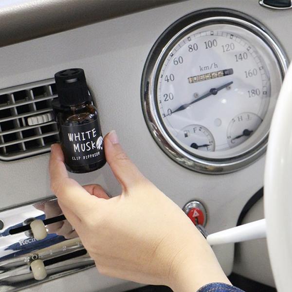 (10%OFFN[|)( WYuh NbvfBt[U[ J[tOX ) John's Blend  F A} ԗp J[pi 