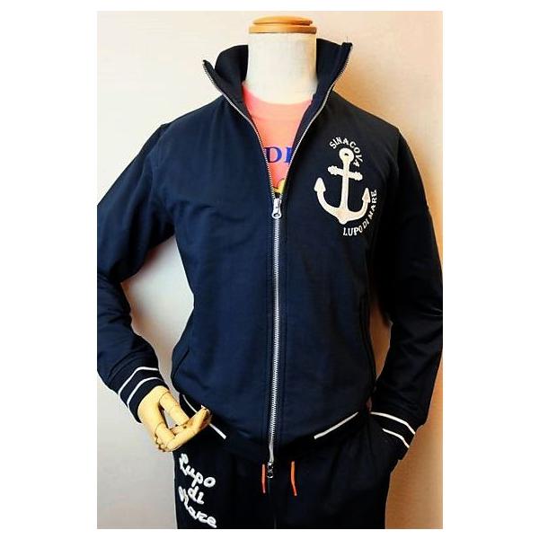 Z[RTnee ViRo SINACOVA gbNWPbg lCr[ H~AEgbgii C^A YEFA