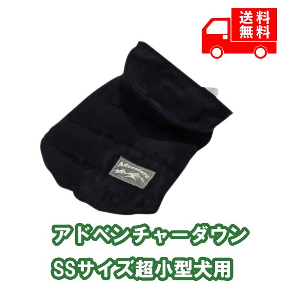 アドベンチャーダウン SS