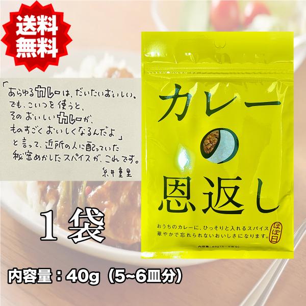 ほぼ日　カレーの恩返し 40ｇ　１袋 （５〜６皿分）【商品説明】おうちのカレーにひっそりと入れるスパイス　華やかで忘れなれない美味しさになります。１２種類のスパイスをブレンドした本格的なカレー作りに欠かせないこだわりのスパイスブレンドです。...