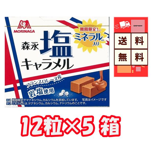 森永製菓 塩キャラメル １２粒×５箱【商品説明】森永の「塩キャラメル」は、甘さとしょっぱさの絶妙なバランスが楽しめる商品となります。この商品は、一口サイズの12粒入り１箱が5箱セットになっていて、フランス産の岩塩を使用したこだわりの塩味が特...