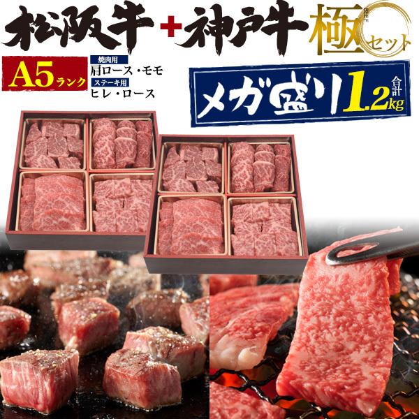 A5ランク 牛肉 極4点 メガ盛りセット 神戸牛or松阪牛 10g ステーキ用ヒレ サーロイン 焼肉用肩ロース モモ 国産黒毛和牛 霜降り お歳暮 ギフト グルメ M Kiwamis2 N Style 通販 Yahoo ショッピング