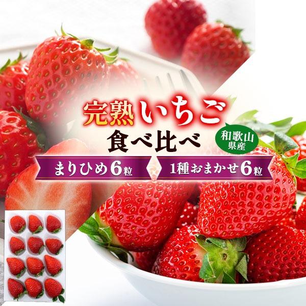 贈答用 和歌山県産 まりひめ+おまかせ品種完熟いちご食べ比べ 12粒 フルーツギフト 贈り物  和歌山県産完熟いちごの食べ比べができる、まりひめ食べ比べセット！和歌山県産「まりひめ」6粒と、紀の香・紅ほっぺなど「おまかせ品種」6粒のセットで...