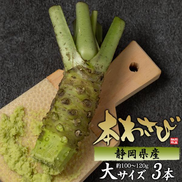 本わさび 静岡産 大 3本 約100〜120g×3 静岡 生わさび 冷蔵