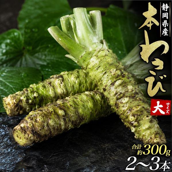 静岡県産 本わさび わさび 大サイズ 2〜3本 合計約300g 生わさび 山葵 ワサビ 冷蔵クール便 国産 薬味 刺身 寿司