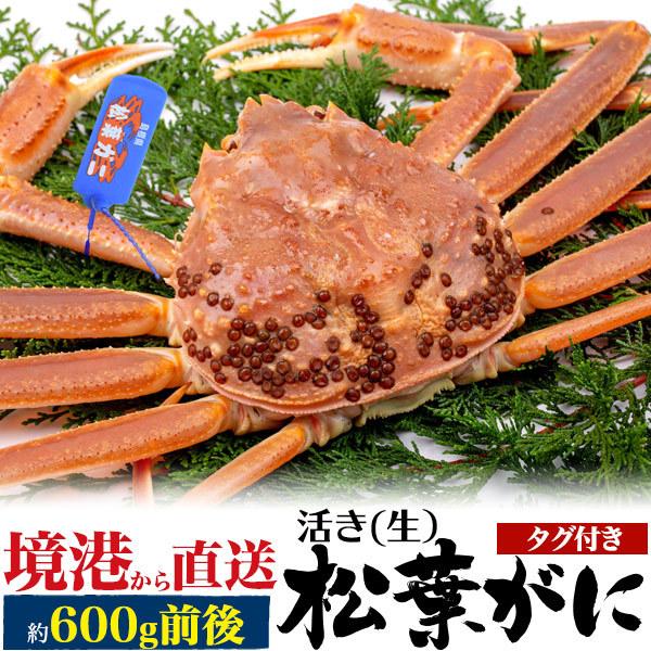 松葉ガニ 産地直送の人気商品 通販 価格比較 価格 Com