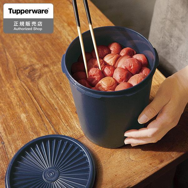 欠品)Tupperware グランプリデコレーター L ノクターナルシーブルー