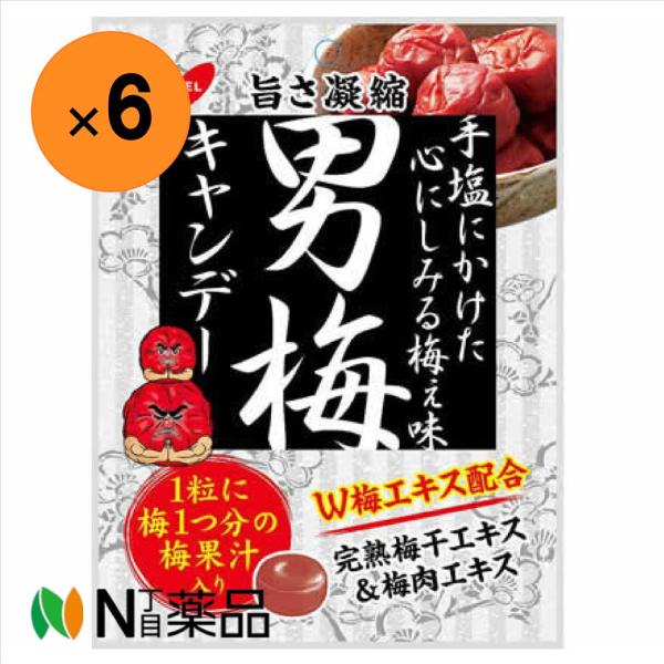 他サイト： 【送料無料】ノーベル　男梅　袋タイプ80g×6個セット＜のど飴＞の商品画像