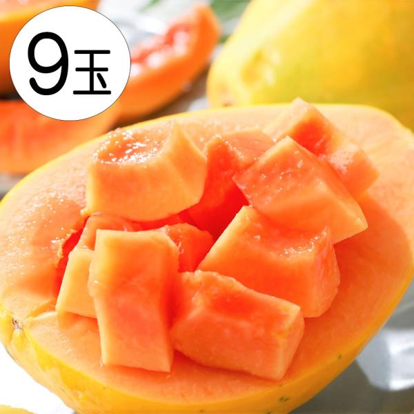 赤い果肉と濃厚な甘みが特徴。フィリピンで栽培されるカポホソロ種の亜種で、見た目はイエローパパイヤと同じです。豊潤な香り、とろける食感、濃厚な甘さが特徴でワンランク上の美味しさが味わえるパパイヤです。食べやすい美味しさです。色鮮やかで栄養価も...