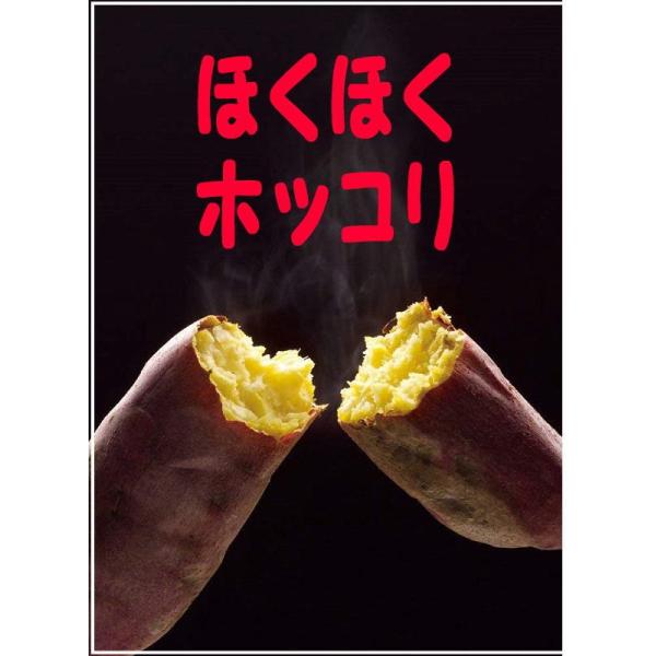 焼き芋器 高木金属 ホーロー石焼いも器 ほくほく石焼き芋鍋 Ih対応 24ｃｍ Ha ｉｙ24n さつまいも 天然石1 1kg付 送料無料 Buyee Buyee Japanese Proxy Service Buy From Japan Bot Online