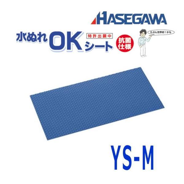 nZK RېʂOKV[g 250×150@YS-M