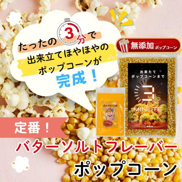 無添加 ポップコーン豆 800g バターソルトフレバー100g付き 3分で出来立て 電子レンジ対応 コーン 種 とうもろこし お菓子 業務用 バタフライ