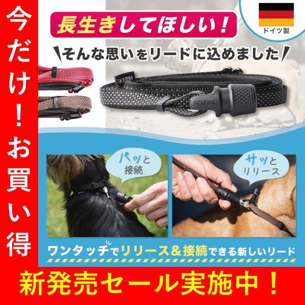 犬 リード 犬 大型犬 リード 中型犬 小型犬 犬用リード 犬のリード GOLEYGO2.0_2点セット
