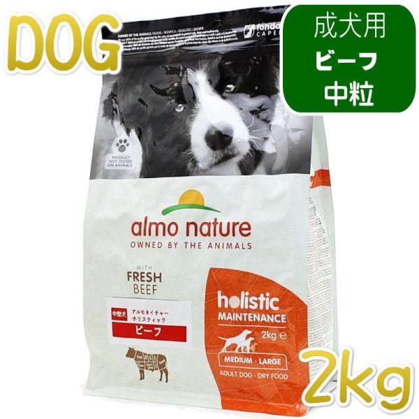アルモ フィッシュ