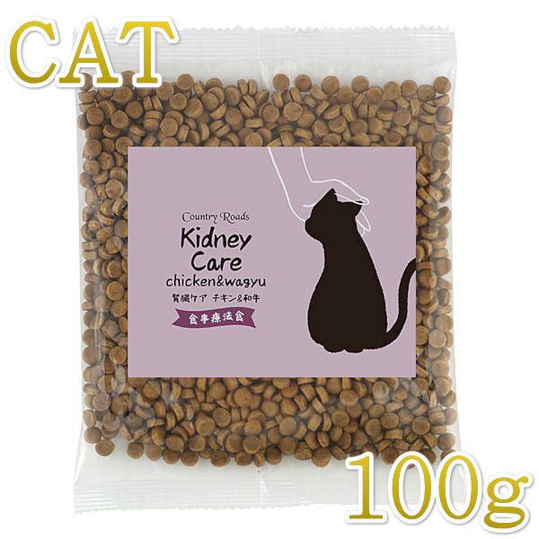 SALE/賞味2026.10・カントリーロード お魚でつくった腎臓ケア チキン＆和牛風味100g 成猫用cr12602※在庫限り終売