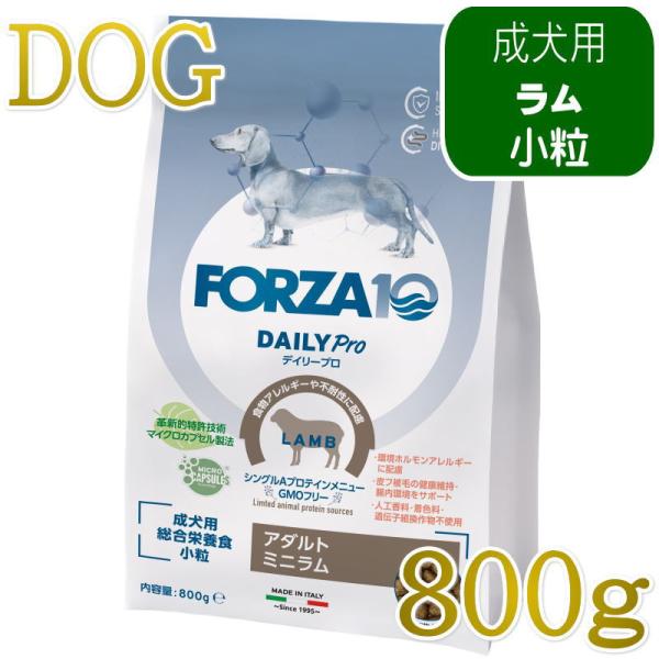 NEW 最短賞味2028.2.29・フォルツァ10 犬 デイリープロ ミニ ラム小粒800g/fo72810成犬用ドッグフード正規品
