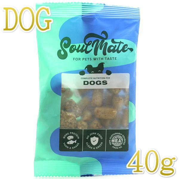 最短賞味2027.3.11・ソウルメイト 犬ベイクド＆エアドライフード レッドミート40g 全年齢犬用総合栄養食som80008