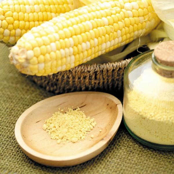 野菜パウダー トウモロコシファインパウダー 50g 離乳食初期から使える 無添加 国産野菜100% 加熱せずに使える数少ない野菜パウダー