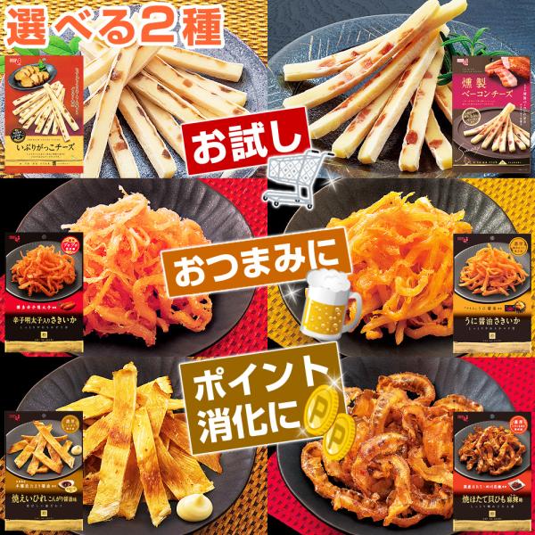 濃厚 おつまみ 選べる2パック いぶりがっこチーズ 辛子明太子入りさきいか うに醤油さきいか 焼えいひれこんがり醤油