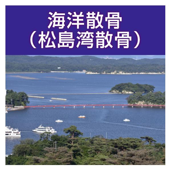 ■サービス内容・散骨をされたいお骨を弊社指定の散骨（取引）先さんへ送骨し、散骨をするサービスです。※指定の散骨（取引）先さんについては、下部へ記載しております。・粉骨込みのサービスとなっております。・表記金額以外には、追加費用が発生すること...