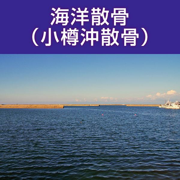 ■サービス内容・散骨をされたいお骨を弊社指定の散骨（取引）先さんへ送骨し、散骨をするサービスです。※指定の散骨（取引）先さんについては、下部へ記載しております。・粉骨込みのサービスとなっております。・表記金額以外には、追加費用が発生すること...
