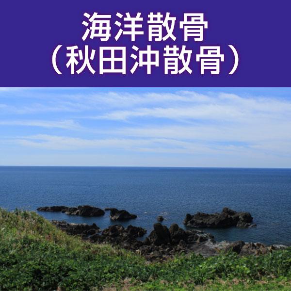 ■サービス内容・散骨をされたいお骨を弊社指定の散骨（取引）先さんへ送骨し、散骨をするサービスです。※指定の散骨（取引）先さんについては、下部へ記載しております。・粉骨込みのサービスとなっております。・表記金額以外には、追加費用が発生すること...